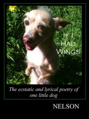 cover image of If I Had Wings